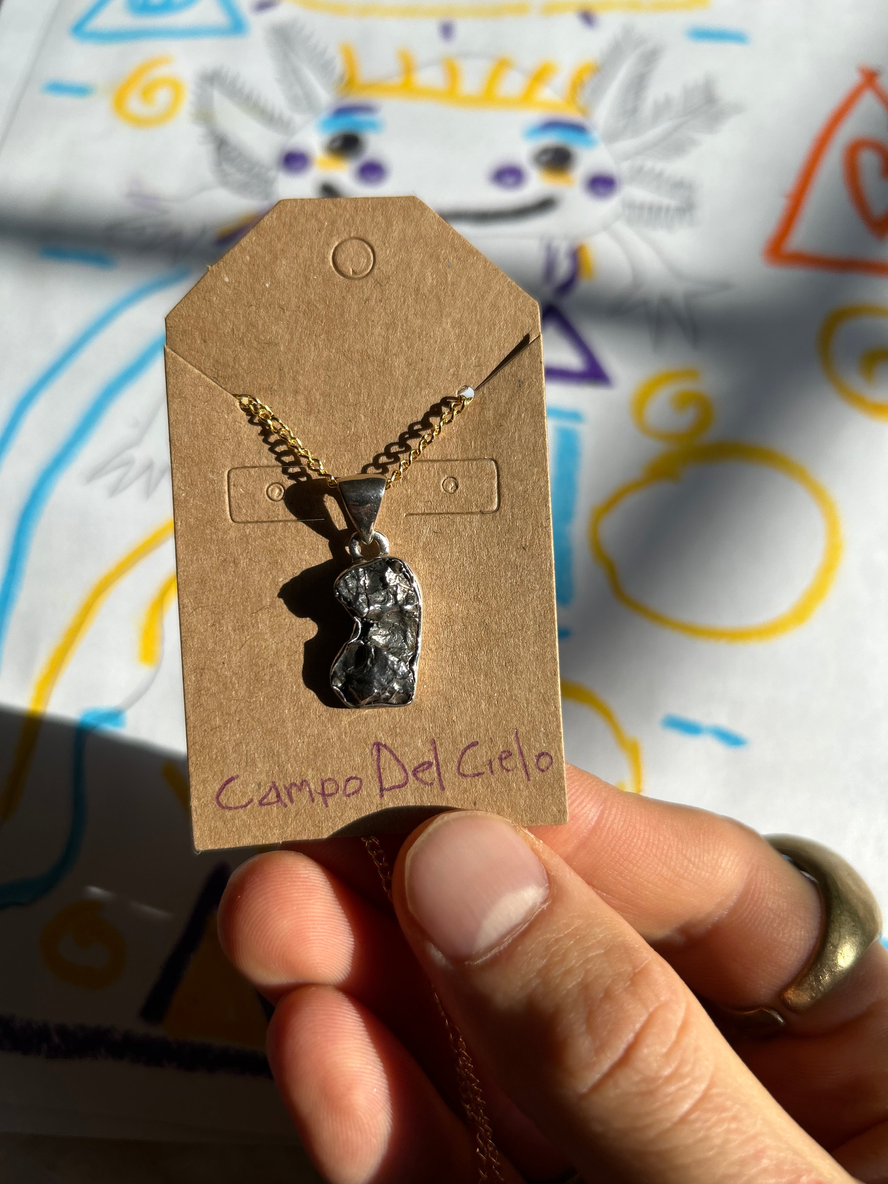 Authentic Campo Del Cielo Meteorite .925 Sterling Silver Pendant and Necklace